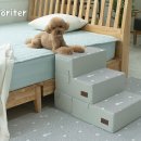 펫 노리터 이미지