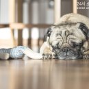 소래동물병원 이미지