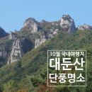 (주)양지대둔산삭도 | 10월 국내여행지 추천 단풍 명소 대둔산 가을여행