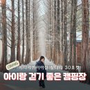 메타세쿼이아길 공중화장실 | 영월 다그린캠핑장 메타세쿼이아길 섶다리까지 30초컷 캠핑장