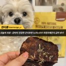 칠레포크 | 기호성좋은 간식 추천 강아지 수제간식 바프독 노즈노우즈 후기!!