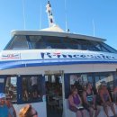 란사로테 이미지