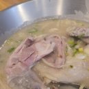 언양닭칼국수사파점