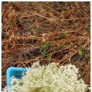 여주-0929 이미지