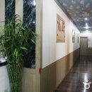 복어세상 이미지