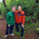 눈길등산로 이미지