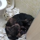 산업로주유소 이미지