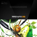 디자인아보카도