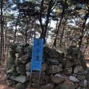 일취월정 네이버블로그