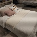 스테이세도