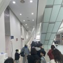 동반자 | [파충류 행사 후기] 광주 파충류 동반자 후기