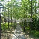 천안동일공인중개사사무소 이미지