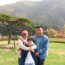 토석 건축사사무소 Daum카페