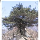 어수마을회관 | [20171116]동두천 마차산 낙엽산행(소요산역~소요교~마차산 정상~동광교~동두천중앙역)을 다녀오다