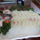 보물섬횟집 이미지