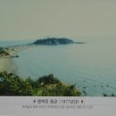 호주 친구와 떠난 여행 - 강진 가우도 출렁다리,서천 마량포구 동백정 해수욕장 이미지