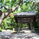 동화사거리(장성)