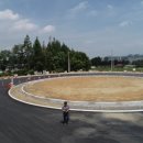 입장시장교차로 이미지