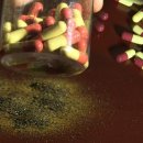 독곰농장 이미지