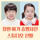 신월동248 | [내돈내산] 창원 아기 증명사진 집에서 고민 말고 스튜디오 신월! 23, 41개월 아이 둘 재방문 성공