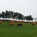 솔바우농장 이미지