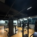 더 핏 휘트니스 | 의정부 헬스장 신곡동 꿀핏휘트니스 PT 후기