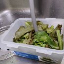 바이온텍 이미지