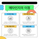 로이컴퍼니 네이버블로그