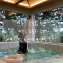 스테이그라피 이미지