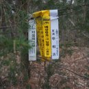 곡성-194 이미지