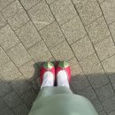 수복꽃신 이미지