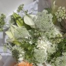 inthesun인더썬 이미지