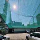 상계골프연습장 | 노원 상계골프연습장 야생 그 자체 후기.내돈내산