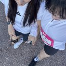 뉴발란스 1080v14 러닝화 내돈내산 1년 사용후기