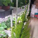 아델라농장 이미지