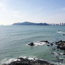 동백섬 이미지