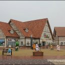 풍치축산 이미지