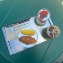 새들경로당 | 제주 웨스트 그라운드 | 제주 한림 대형 카페 추천 애견카페 식물원 카페