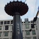 벼룩이구제 - 청송군 진보로 148-1 | 벼룩이구제