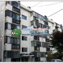 멘토태권도스쿨 이미지