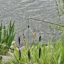 영인 낚시터 이미지