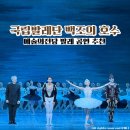 29170-1-B-12 | 2026 국립발레단 백조의 호수 예술의전당 오페라극장 1층 B블록 12열 관람후기