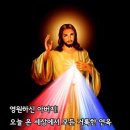 스마트폰화면을 기도문으로~~ 이미지