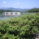 화진포호수 이미지