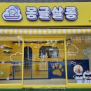 몽글펫살롱