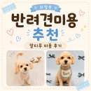 몽시시 네이버블로그