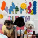 놀러오개 불로점 이미지