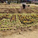 임병택 농장 이미지