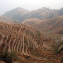 손바닥만한 계단식 논, 중국 용척 제전 이미지