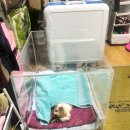 전남메디텍 이미지